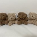 뽀글뽀글 이미지