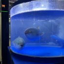 매곡수산 이미지