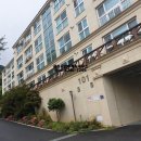 월영동217 이미지