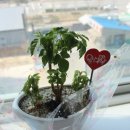 햇살당구장 이미지