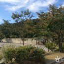 오미동 산 117-10번지 전원주택 신축공사 | 충남 예산 가볼만한곳 베스트10 | 여행 명소 추천