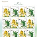 채소꽃