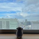 달츄