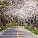 영산강변 우안자전거도로3 | 나주 가볼만한 곳 여행 가이드라인 체크해요!