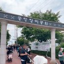 🌹중랑 서울장미축제 2025｜500만 송이 장미 정원, 아이와 함께 다녀온 후기🌹