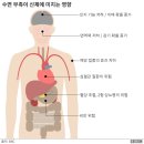 만세치과의원 이미지
