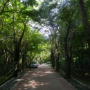 조내기고구마 역사공원 이미지