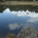 서ㆍ호근동 이미지