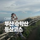 동아대학교 승학캠퍼스 | 승학산 등산코스 부산 억새 군락지 명소 최단거리 주차장