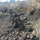 법환동-16 이미지