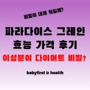 파라다이스 이미지