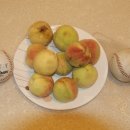 ㈜원예기업 이미지