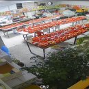 야채과일가계24시간무인일천량