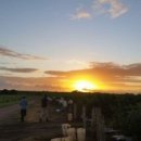 일수농장 이미지