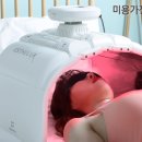 그리제뷰티