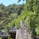 담양중정사지마애여래좌상 | 담양5. 중정사지(中井寺址), 수북면 궁산리