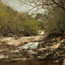 호박소가는길 이미지