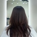 주아르헤어 이미지