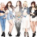 레인보우 이미지