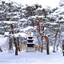 금수정사우나 이미지