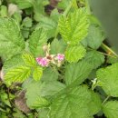 도당초등학교3 이미지