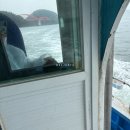 팔포항 | [사천 팔포항] 11물 문어 선상 전투낚시!! 후기 &amp; 조황