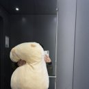 성민세탁 이미지