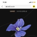 엔젤브레드 이미지
