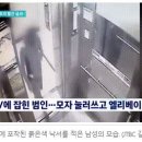 [news1] 탈세신고 앙심…고객 집에 &#39;개보기&#39; 붉은 래커 테러한 인테리어 사장 이미지