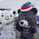 2018평창동계올림픽 홍보존은 이렇게!!! 이미지