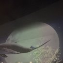 노원-현장-1456 이미지