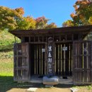 청춘당구 | 순천 여행 순천드라마세트장 촬영장 애견동반 가볼만한곳