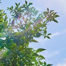 덕화농장 이미지