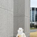 아가방플렉스유성NC 네이버블로그