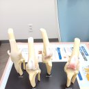 수종합동물병원 이미지