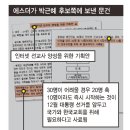 에스더 이미지