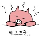 정관밥도둑 이미지