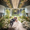 스텔라이 | 대구 달서구 파라다이스웨딩컨벤션 스텔라홀 본식후기