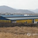 연한우농장 연합뉴스