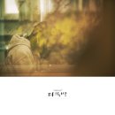 고성중앙고등학교 이미지