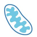 행복이열리는건강약국 - 성동구 성수이로 113 | 행복이열리는건강약국
