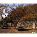 봉화산 족구장 | 무선산