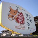 선진한우농장4 Daum카페