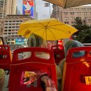 야경시티투어 | 호치민 시티투어 버스 후기｜가격·코스·야경 직접 3번 타본 솔직 정리