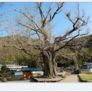 화순이서우체국 이미지