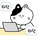 강동365약국 이미지