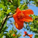 함평 자형정 이미지