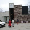 장어나라 이미지