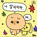몰리하우스 이미지