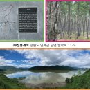 38선 주유소